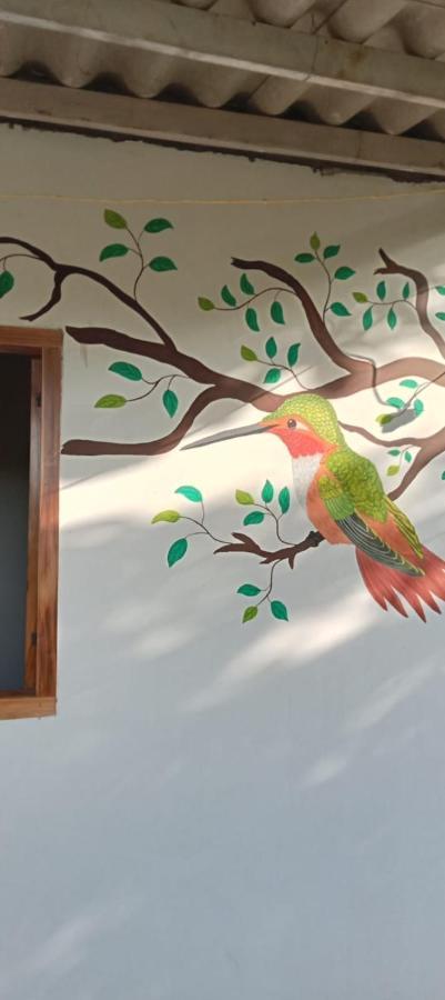Sierra Kay Hostel Guachaca Cameră foto